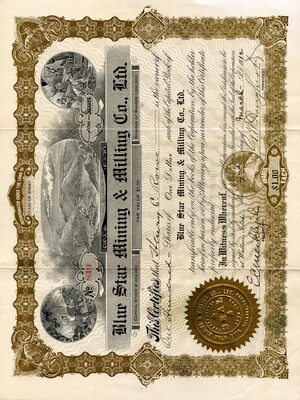 Henry C. Rowe was the owner of one hundred shares.