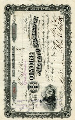 Wm. J. Brown was the owner of one hundred shares.