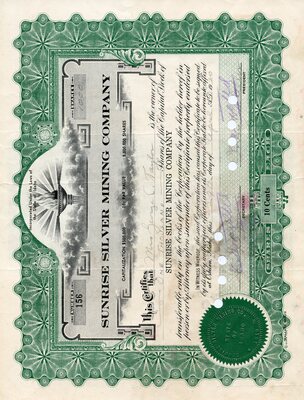 Mrs. George C. Taylor was the owner of one thousand shares.