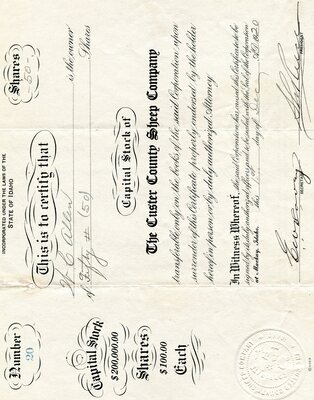 W. C. Allen was the owner of fifty shares.