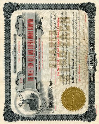 E. Hays was the owner of one hundred shares/