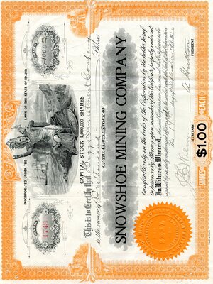 Briggs Investment Company was the owner of one thousand shares.