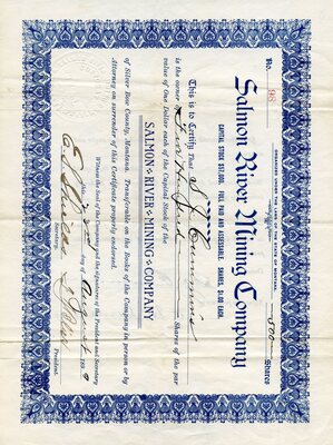 S. J. Cummins was the owner of five hundred shares.