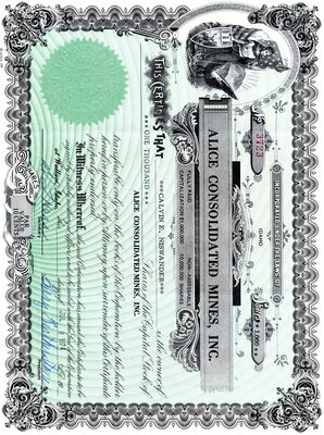 Calvin E. Niswander was the owner of one thousand shares.