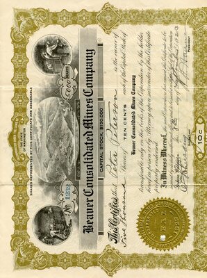 Peter Peterson was the owner of five hundred shares.