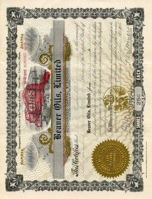 C. D. Kinechtel (?) was the owner of one hundred shares.