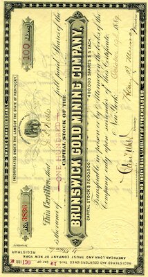 J. P. Nells was the owner of one hundred shares.