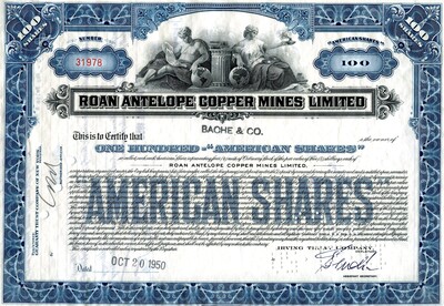 Bache & Co was the owner of one hundred shares.