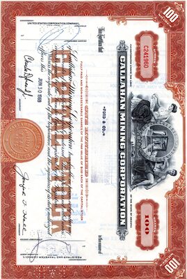 Ford & Co was the owner of one hundred shares.