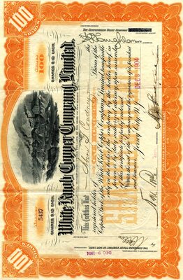 Alrne (?) G. Courtney was the owner of one hundred shares.