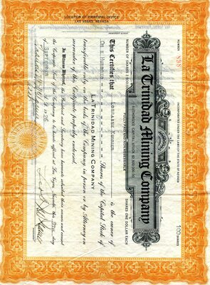 Lorraine Kummer was the owner of one hundred shares.