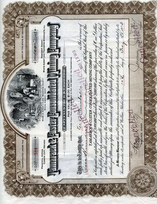 E. A. Nicholls was the owner of one hundred shares. Cancelled.