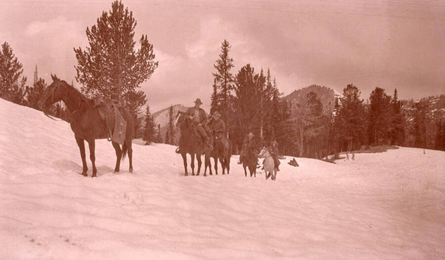 Three men and one woman ride horses through a snowy meadow.