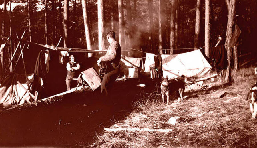 Man and woman stand in a campsite with two dogs nearby.