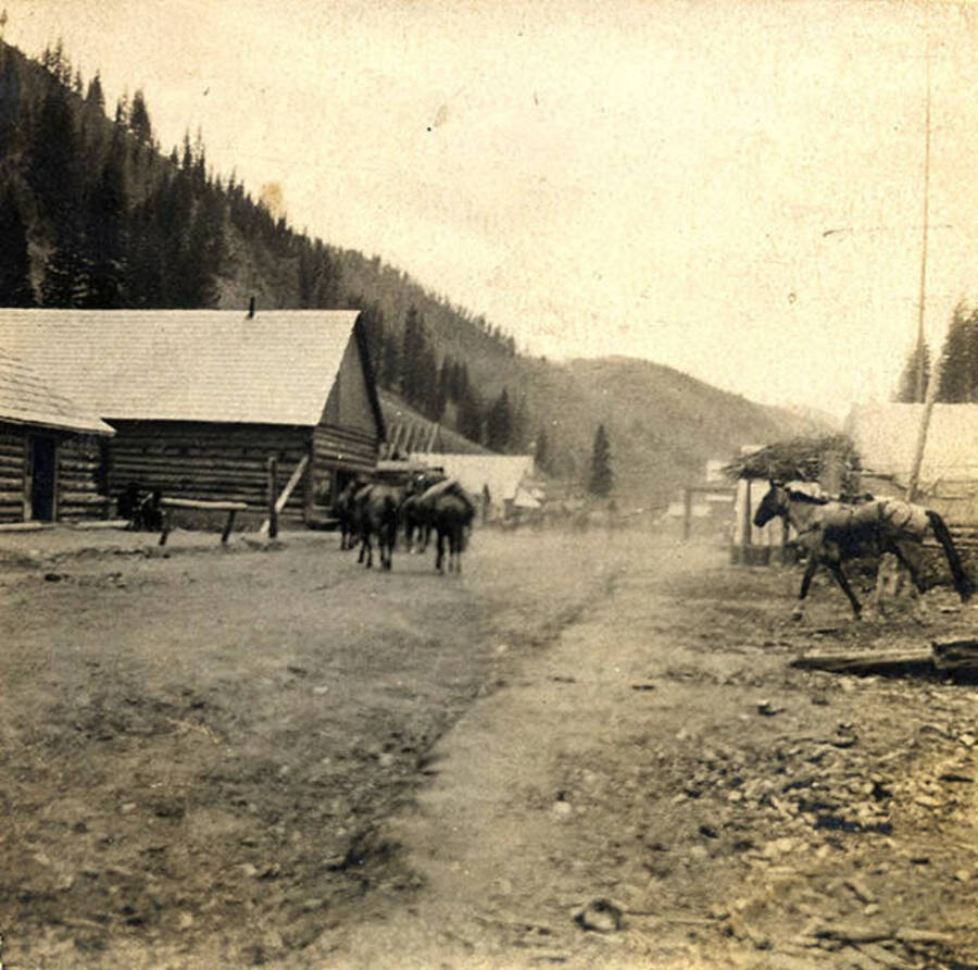 Village of Roosevelt near Thunder Mountain during the height of the gold rush. A pack train walks down the street with wooden buildings in the background.