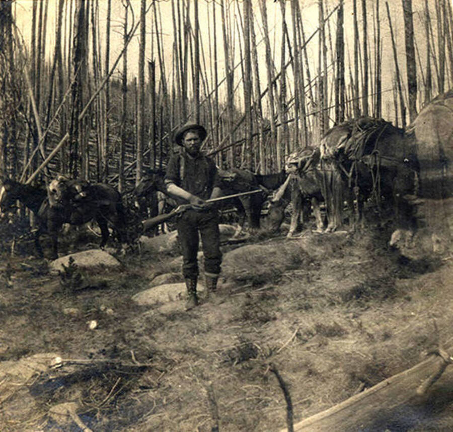 A man holds a rifle in front of a pack train in the forest.