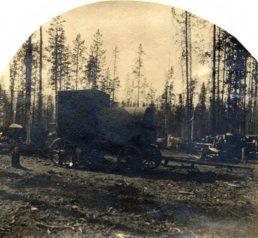 Large piece of equipment being transported on a wagon through the forest.