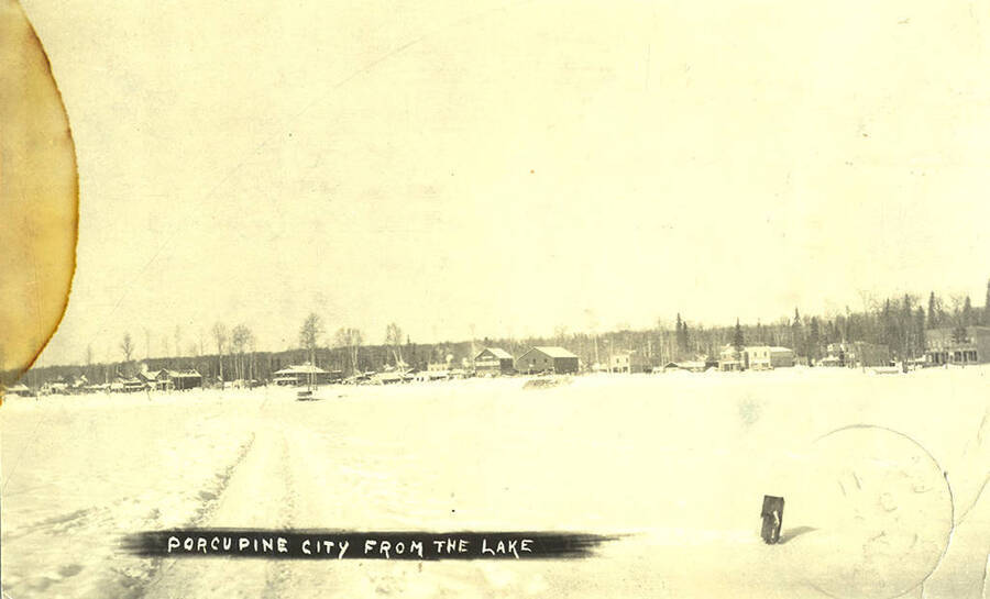 Postcard of showing Porcupine City. Mailed in Canada to Chicago.