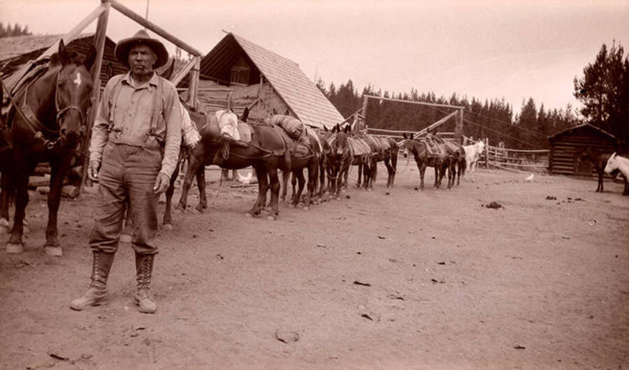 Al Stonebraker stands outside of his corral at the Stonebraker Ranch. A mule pack train waits behind him.