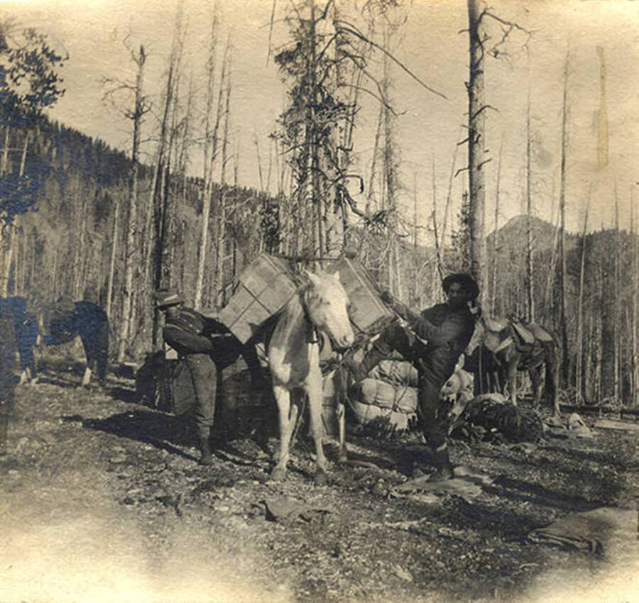 Two men load bundles of supplies on a horse in a wooded area. Photo caption reads: 'Pull harder.'