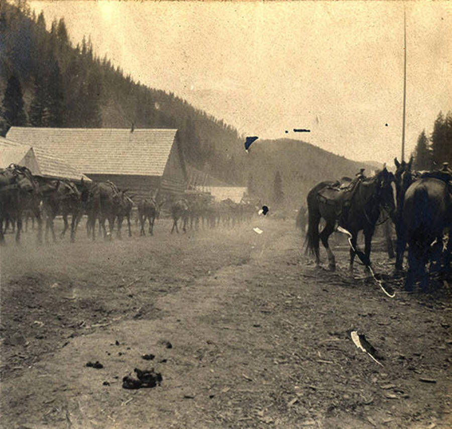 A horse pack train passes through the mining town of Roosevelt, Idaho. Photo caption reads: 'Passing through Roosevelt.'