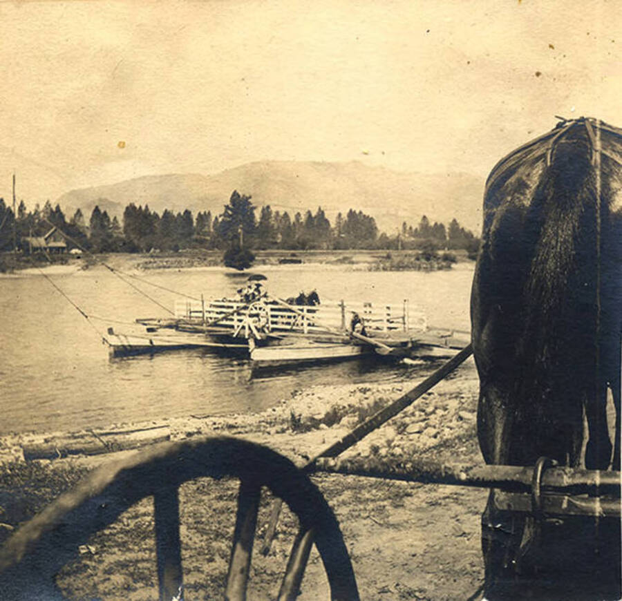 People and horses wait on the ferry. Photograph taken from a wagon pulled by a horse.