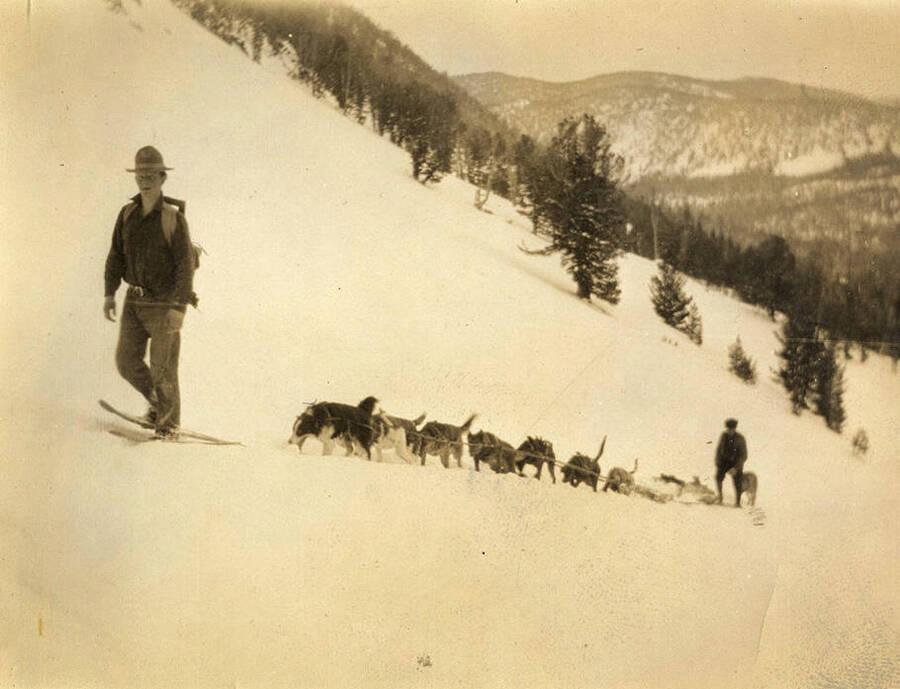 A young man wearing a backpack leads a dog team through a snowy trail.  A man follows behind the dogs.