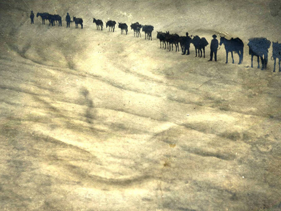 Long pack train of men and horses stand in the snow.