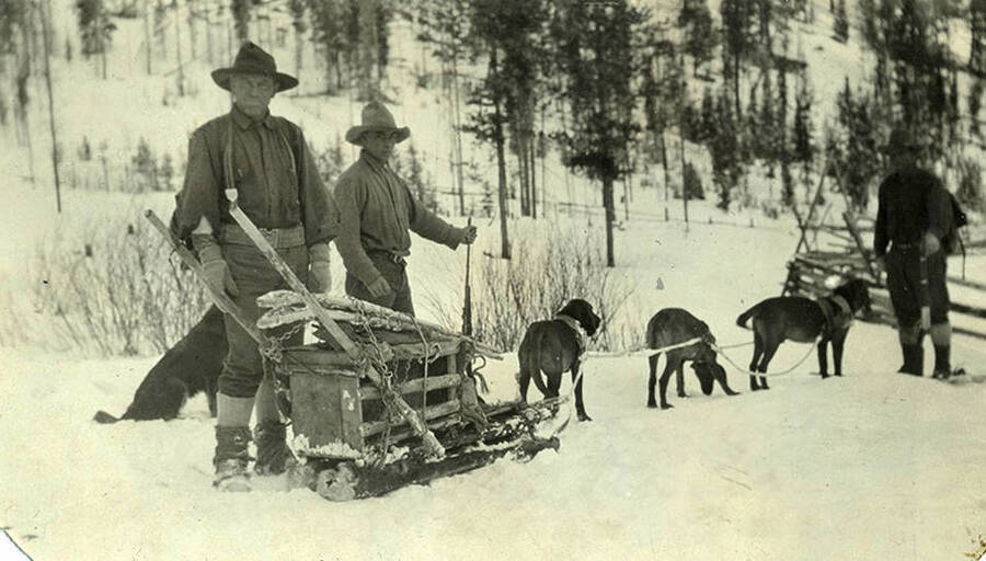 W. A. Stonebraker (left) poses with two unidentified men and a team of dogs pulling supplies through the snow near the corral at the Stonebraker Ranch in the Chamberlain Basin.
