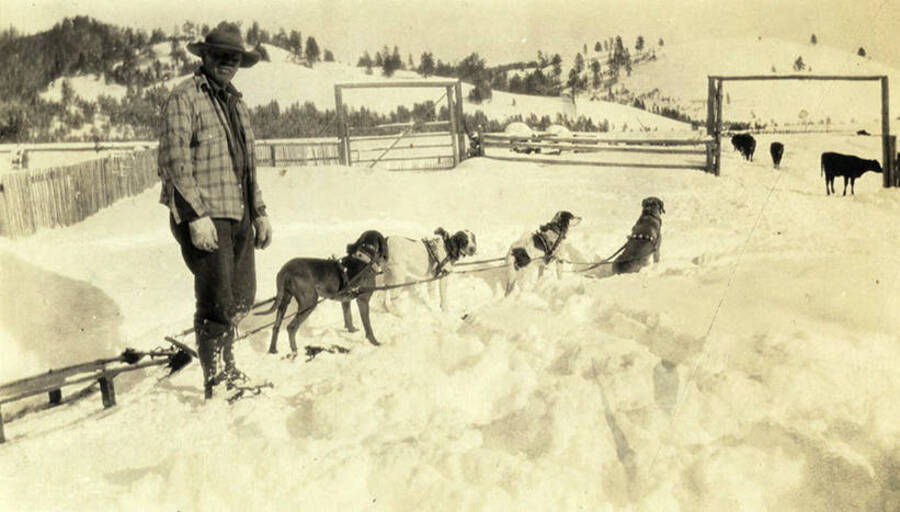 Al Stonebraker stands with dogsled team in the snow outside the corral at his ranch in the Chamberlain Basin.