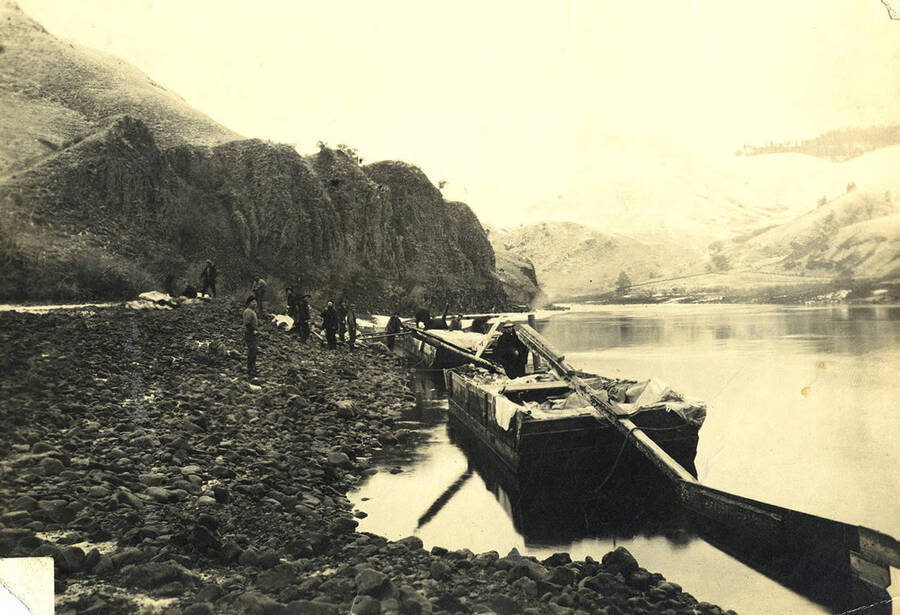 Two sweep scows at river bank. A dozen men stand on the shoreline and in boats.