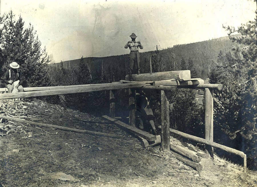 Two men operates the saw while another man sits petting a dog. Near the village of Roosevelt, Idaho.