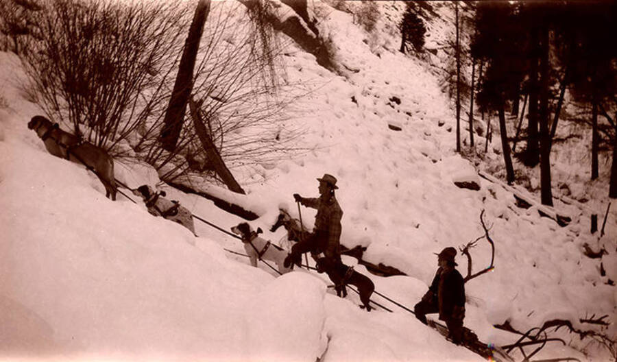 Two men push the Stonebraker dogsled team of 11 dogs through the snow near Elk Creek Summit.