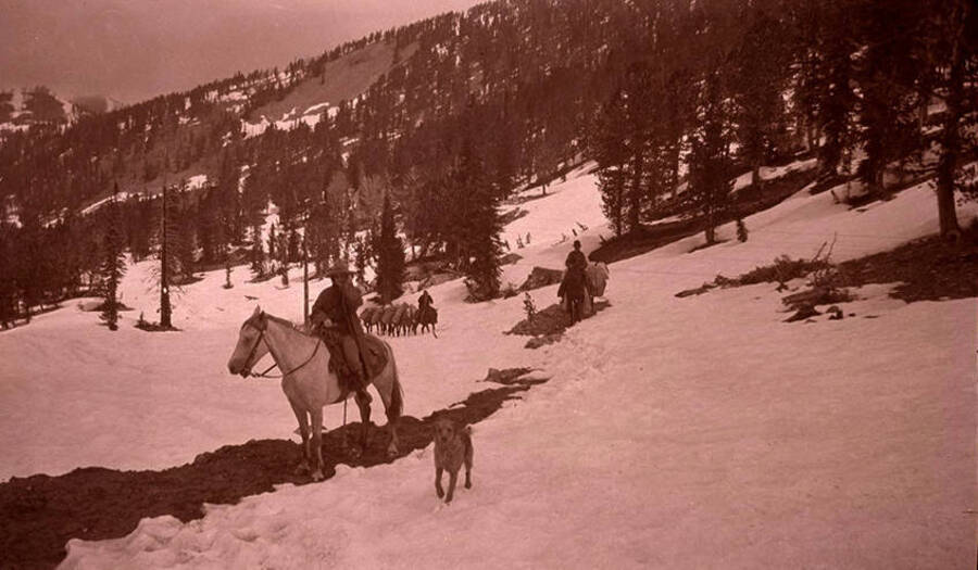 Golda Stonebraker rides Kit the horse while Bobbie the dog walks along side the pack train in the snow.