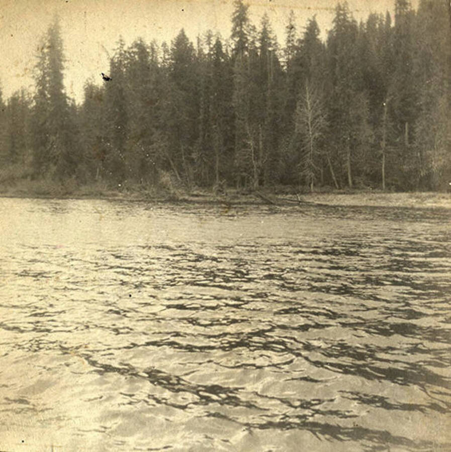 A view of the Clearwater River and forest on the opposite side.