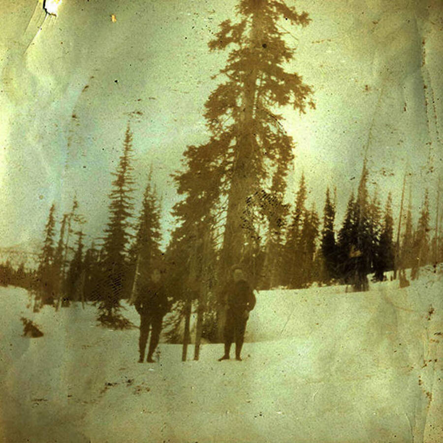 Two men stand in the snow near trees.