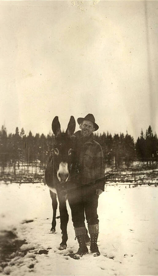 A man poses with a mule. Near Roosevelt, Idaho
