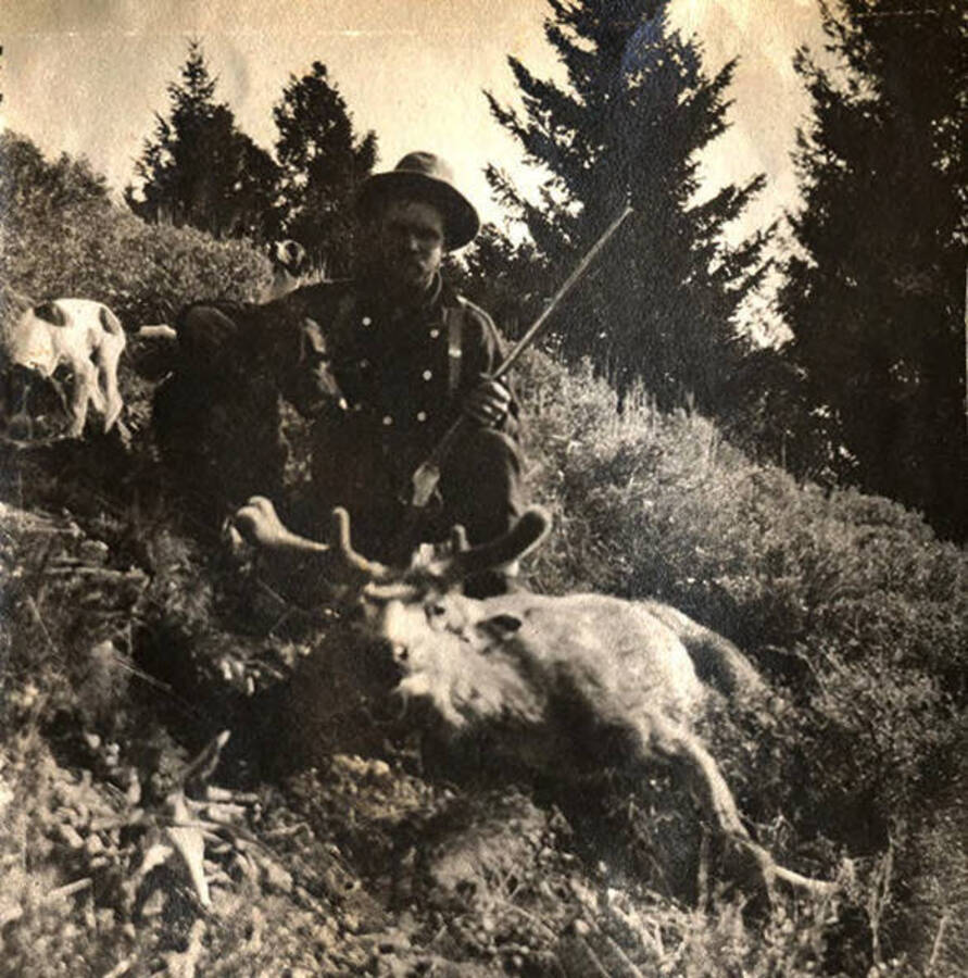 A man poses with a rifle and a harvested mule deer. Two dogs, including Juno, stand near the man.