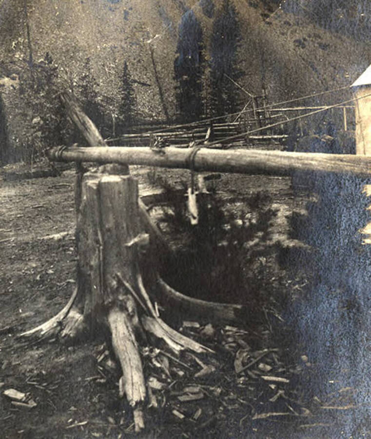 Close view of tent support using timber near Roosevelt, Idaho.