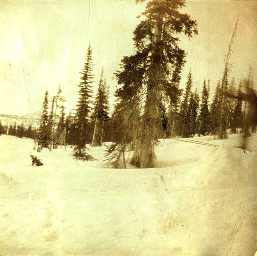 A man on long skis jumps a snow hill in the Chamberlain Basin.