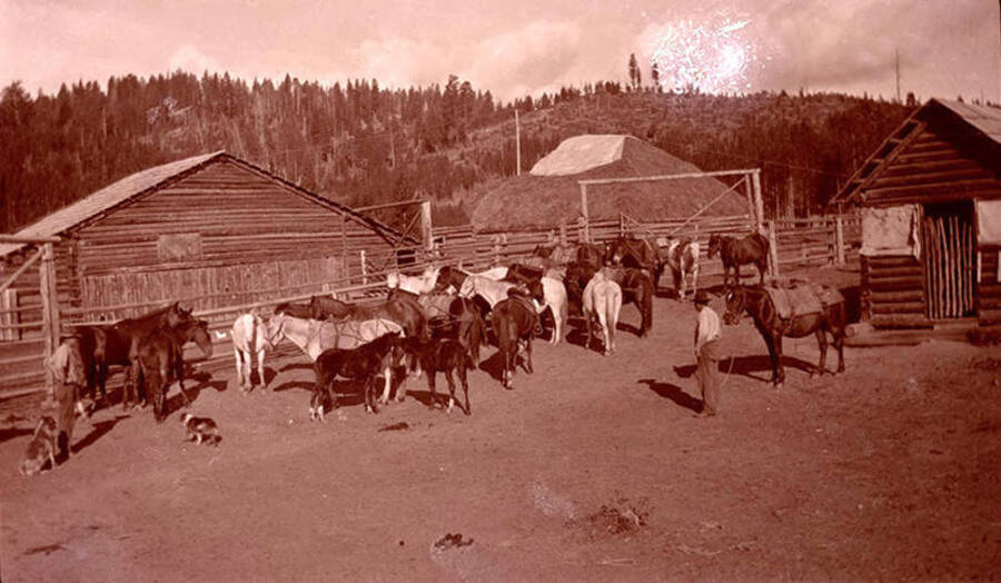 Exterior view of outhouses, the corral, and mounds of hay at the Stonebraker Ranch.