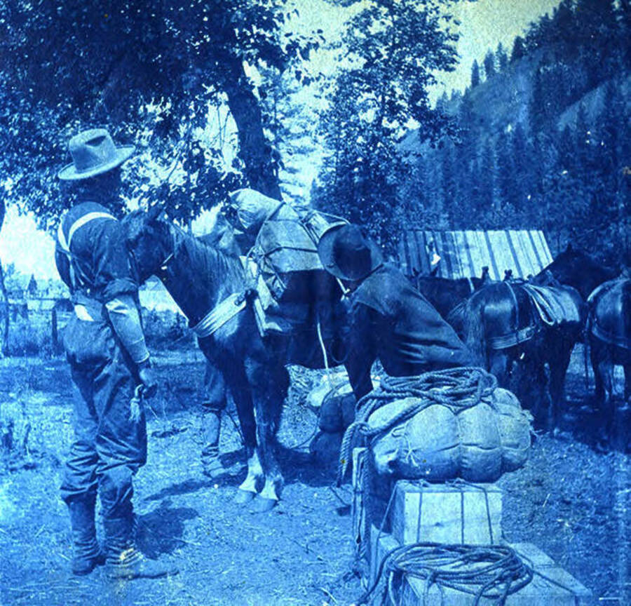 Three men prepare a horse for travel.