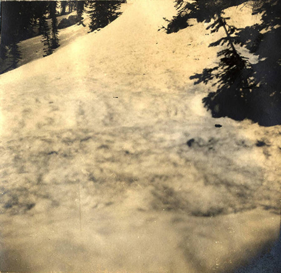 A view of a hillside of snow surrounded by trees.