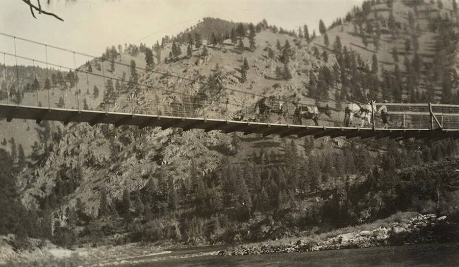A pack train crosses a foot suspension bridge that spans across the Salmon River.