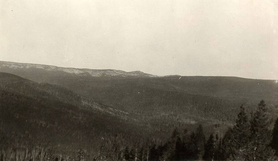 View of forested rolling hills.