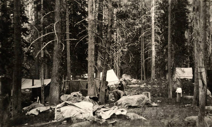 Men stand near tents and camping supplies deep in a forested area.