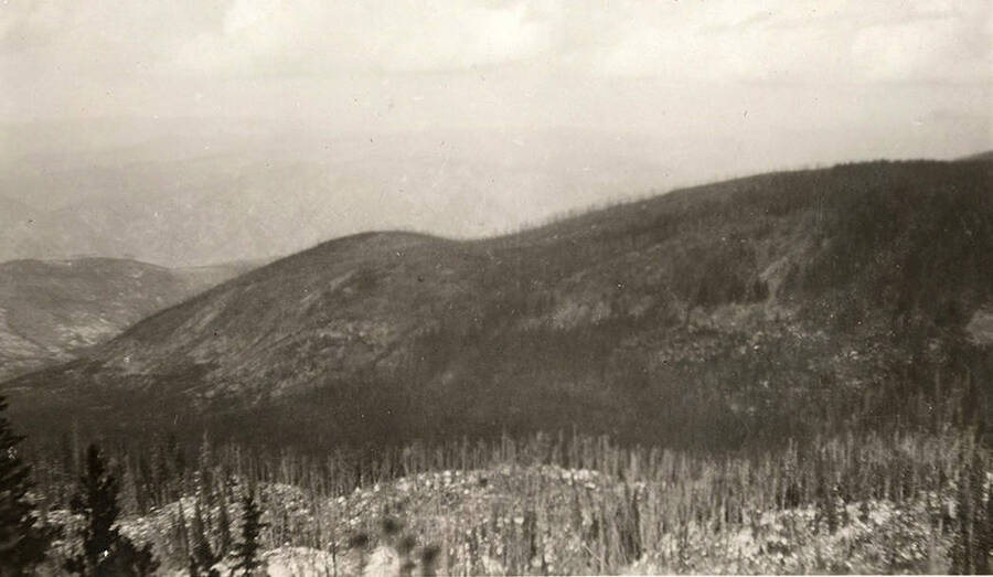 View of rolling forested hills with mountains fading into the background. Snow can be seen on the ground.