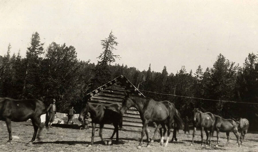 Horses walk near a log cabin with men working in the background.