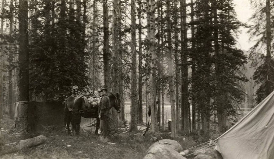 Two hunters load bull elk antlers on a horse in a campsite with Fish Lake in the background.