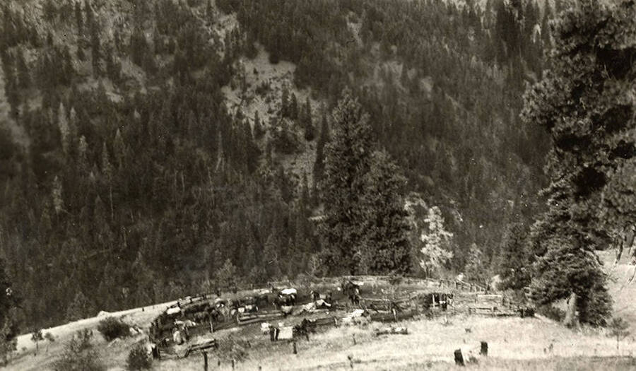 Birds eye view of a horse corral on a hill surrounded by forest.
